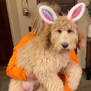 Meet your Posher, Staci